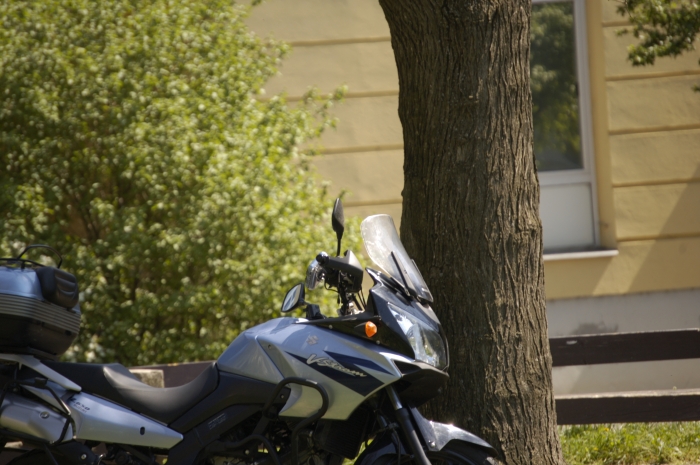nikkor55-200DXat200mm.jpg